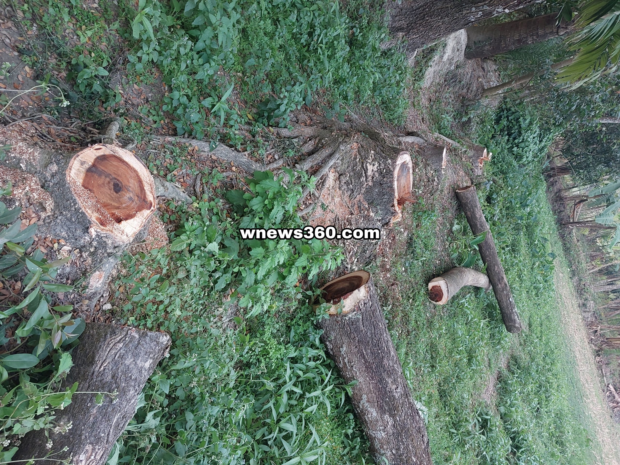 Picsart_23-02-17_23-51-55-286-scaled.jpg