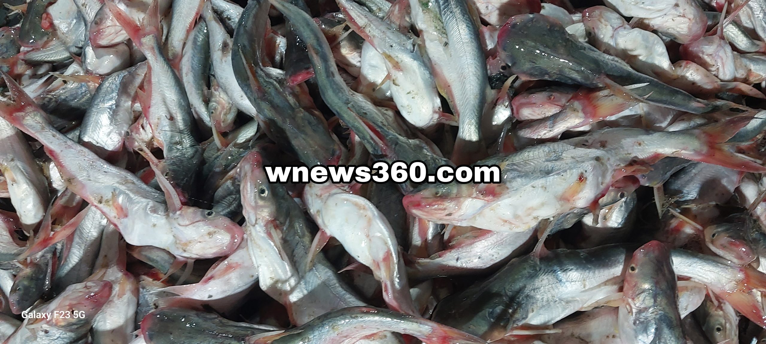 Picsart_23-12-15_19-52-23-567-scaled.jpg